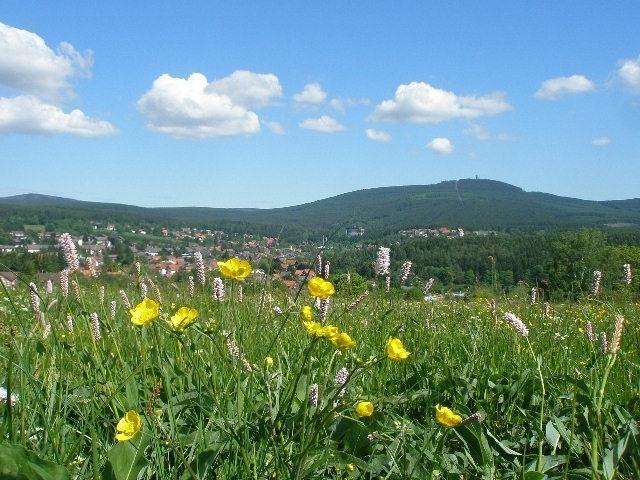 Harzpension Haus Koenigskopf Браунлаге Екстериор снимка